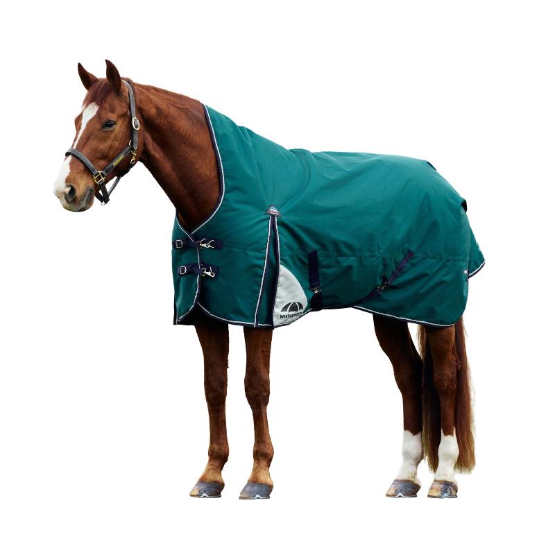 Brown horse in a Weatherbeeta Comfitec Plus Dynamic High Neck Turnout Rug Forest Green/Navy.