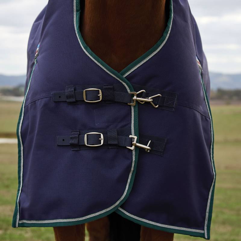 Horse wearing a Weatherbeeta Comfitec Plus Dynamic 100g turnout rug with two chest buckles.