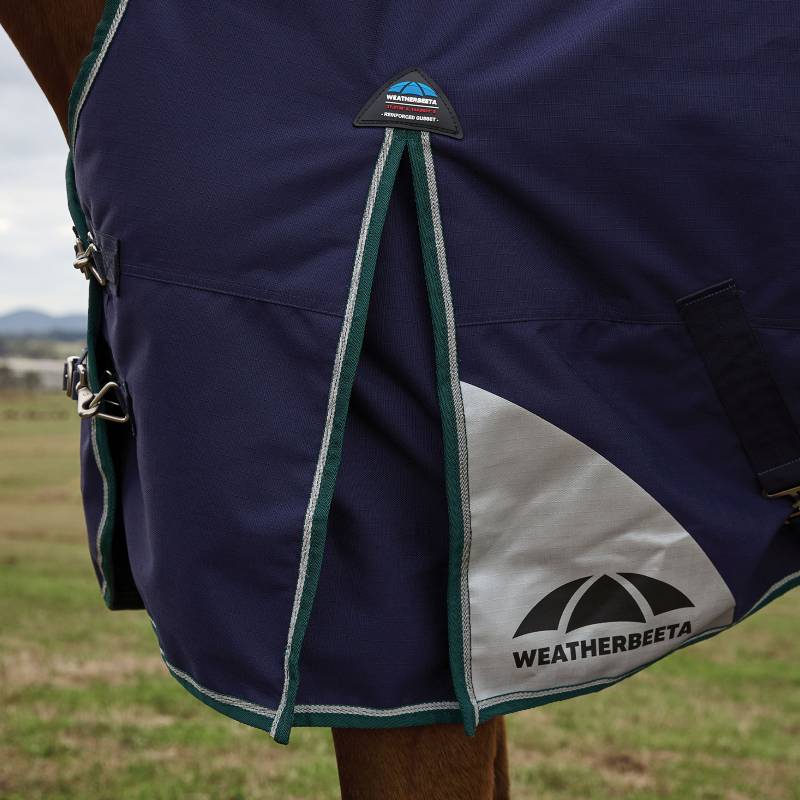 Close-up of a horse in a Weatherbeeta Comfitec Plus Dynamic 100g turnout rug on grass.
