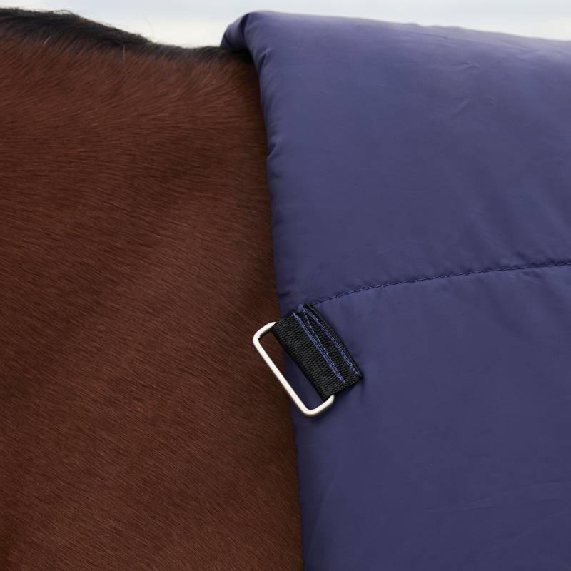 Close-up of a horse’s neck in a Weatherbeeta Comfitec Plus Dynamic 100g turnout rug, navy/green.