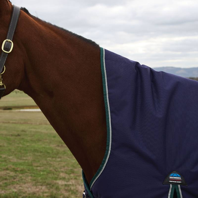 Close-up of a horse in a field wearing a Weatherbeeta Comfitec Plus Dynamic turnout rug.