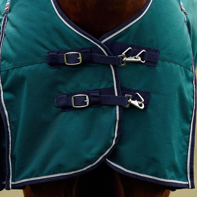 Close-up of a Weatherbeeta Comfitec Plus Dynamic turnout rug in forest green/navy on a horse.