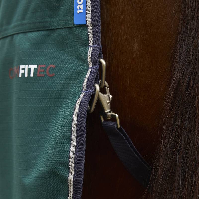 A horse in a Weatherbeeta Comfitec Plus Dynamic turnout rug stands against a white background.