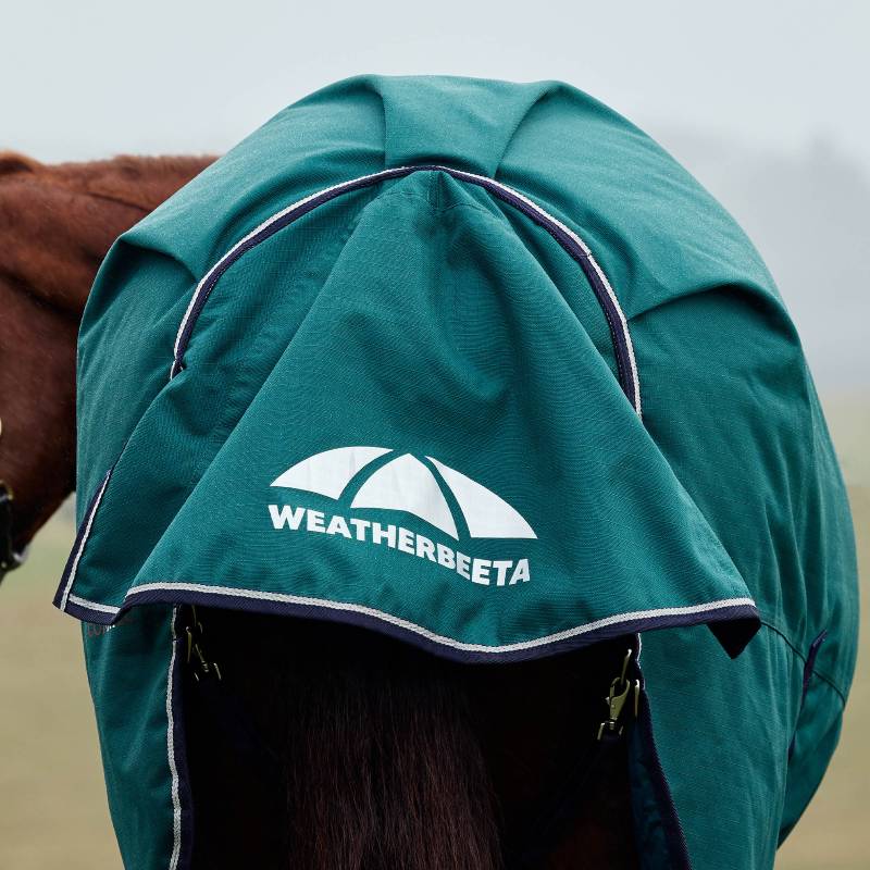 A horse wears a Weatherbeeta green turnout rug on a foggy day.
