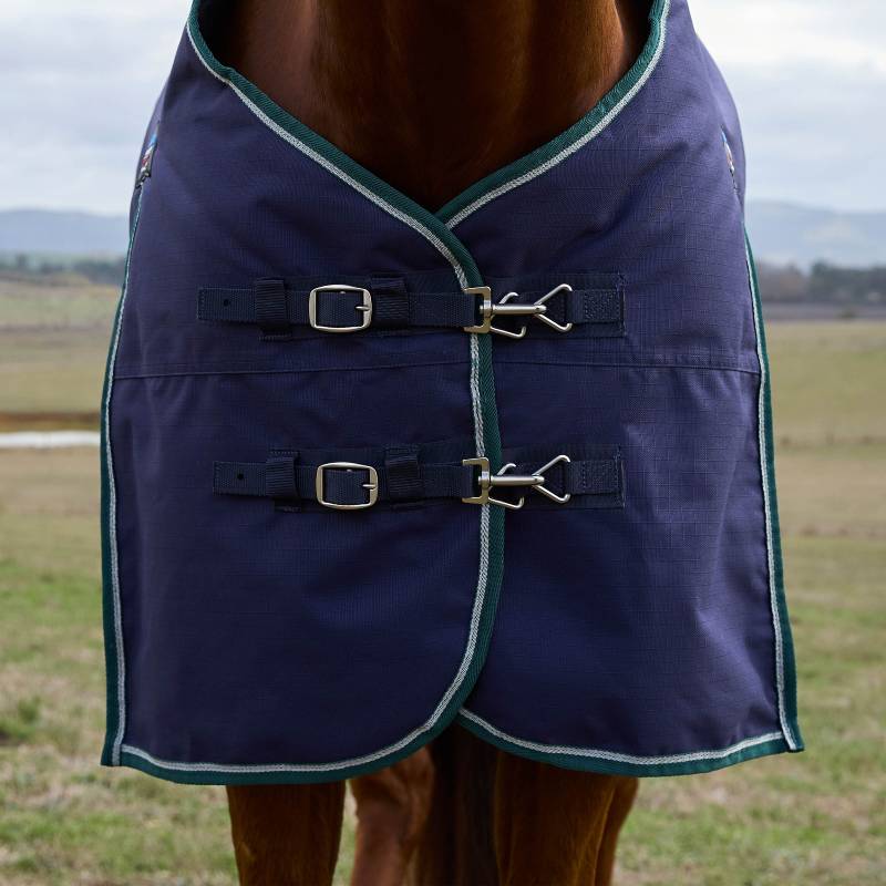 Close-up of a horse in a Weatherbeeta Comfitec Plus Plus turnout rug in a field.