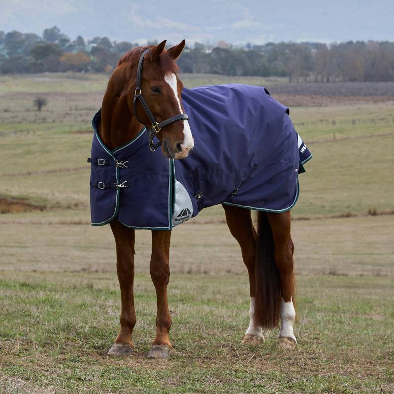 Chestnut horse in a Weatherbeeta Comfitec Plus Plus 220g turnout rug stands on grassy field.