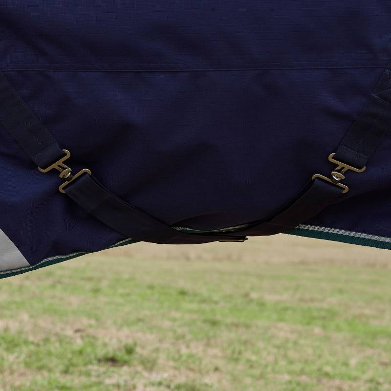 Weatherbeeta Comfitec Plus Dynamic 220g Turnout Rug in Navy/Forest Green, shown outdoors on grass.