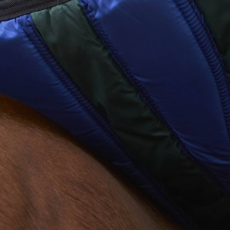 Close-up of a Weatherbeeta Comfitec Plus Dynamic turnout rug in forest green/navy on brown fur.