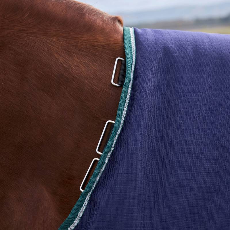 Close-up of a horse in a Weatherbeeta Comfitec Plus Dynamic turnout rug, navy/forest green.