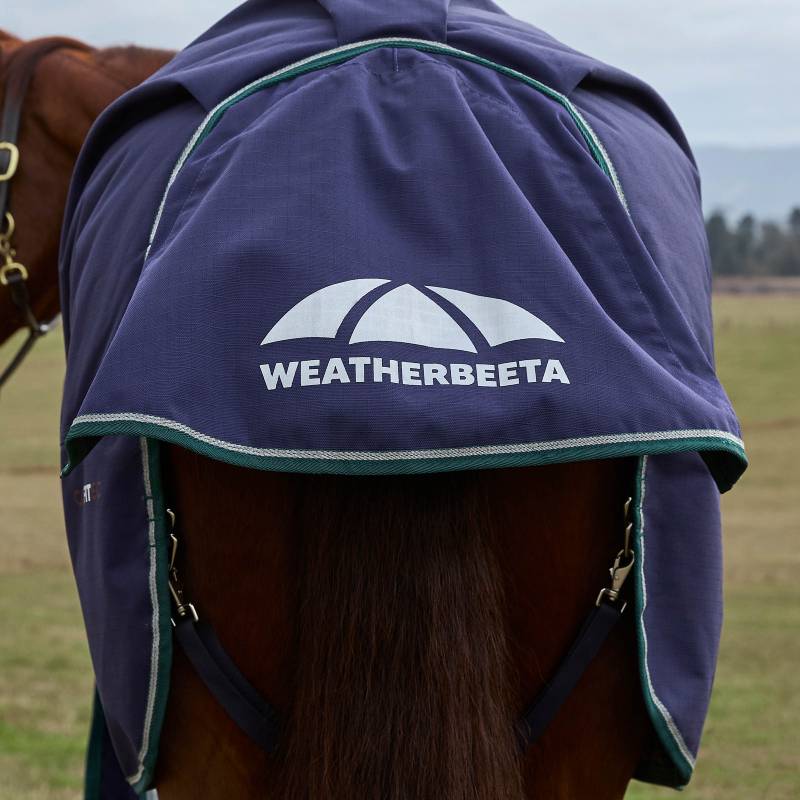 A horse outside wears a Weatherbeeta Comfitec Plus Dynamic turnout rug in navy/forest green.