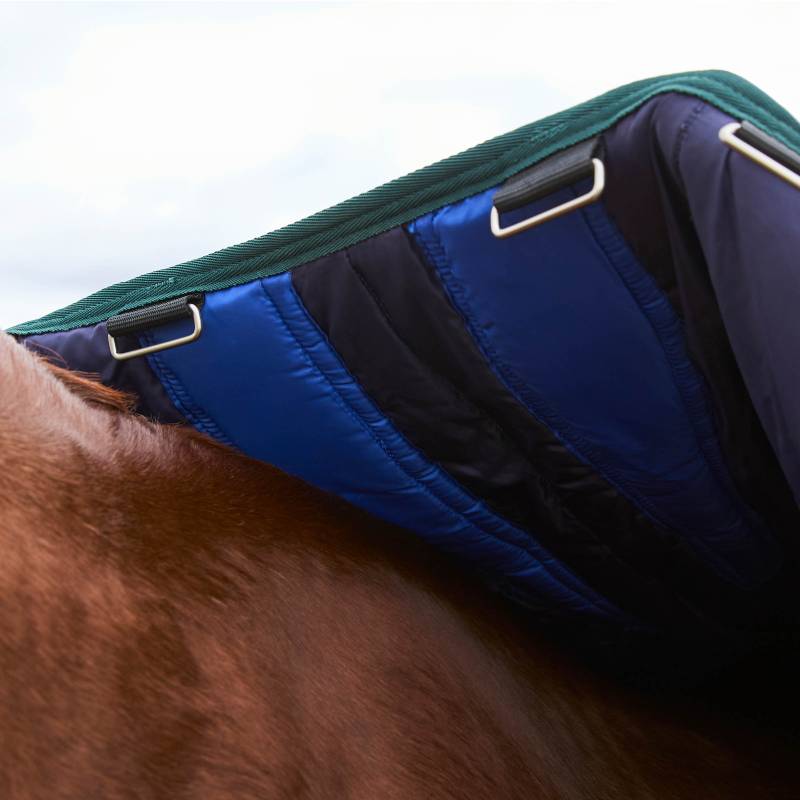 A close-up of a horse in a blue and green Weatherbeeta Comfitec turnout rug.
