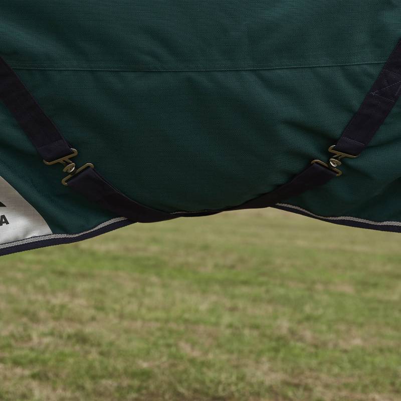 Close-up of a Weatherbeeta Comfitec Plus Dynamic Light Weight Rug in green/navy on grass.