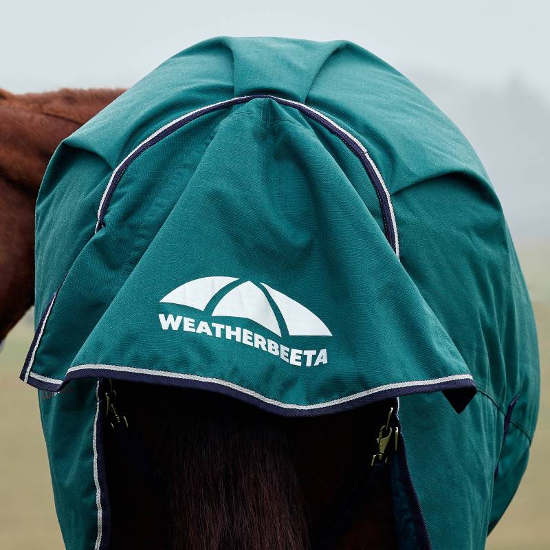 A horse wears a green Weatherbeeta Comfitec Plus Dynamic turnout rug on its neck and body.