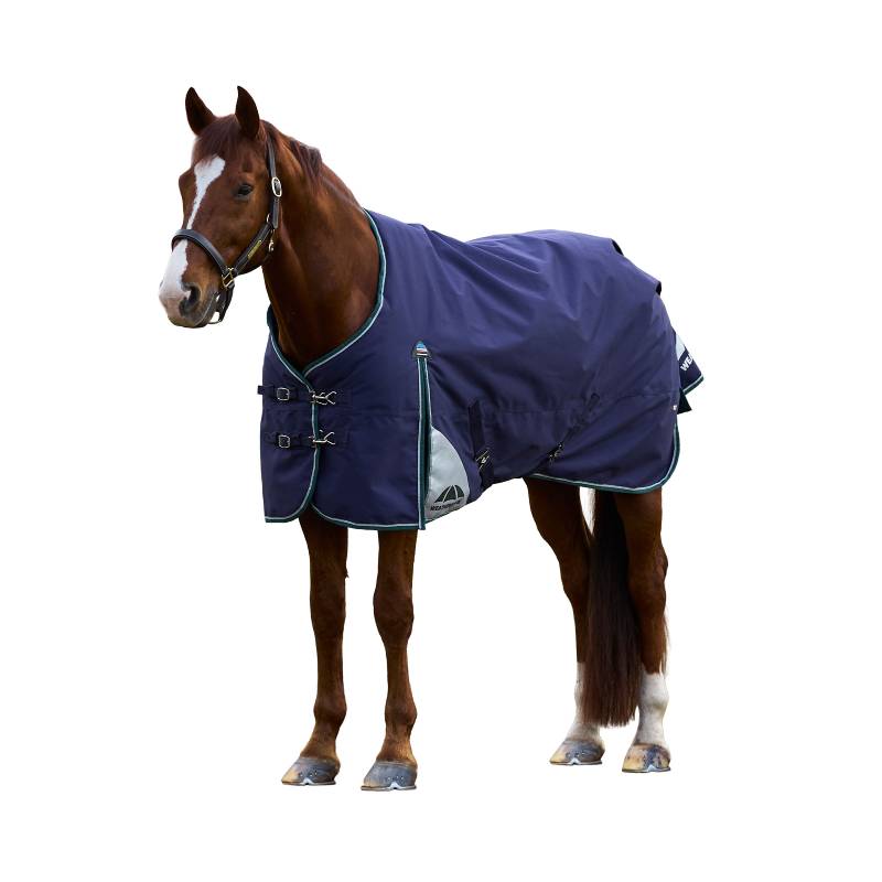 A brown horse wears a Weatherbeeta navy/forest green turnout rug and black halter on white.