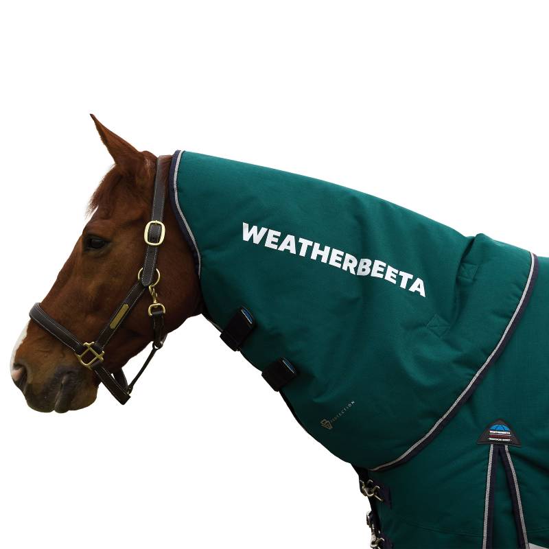 Brown horse in Weatherbeeta Comfitec Plus Dynamic neck cover, forest green/navy, side view.