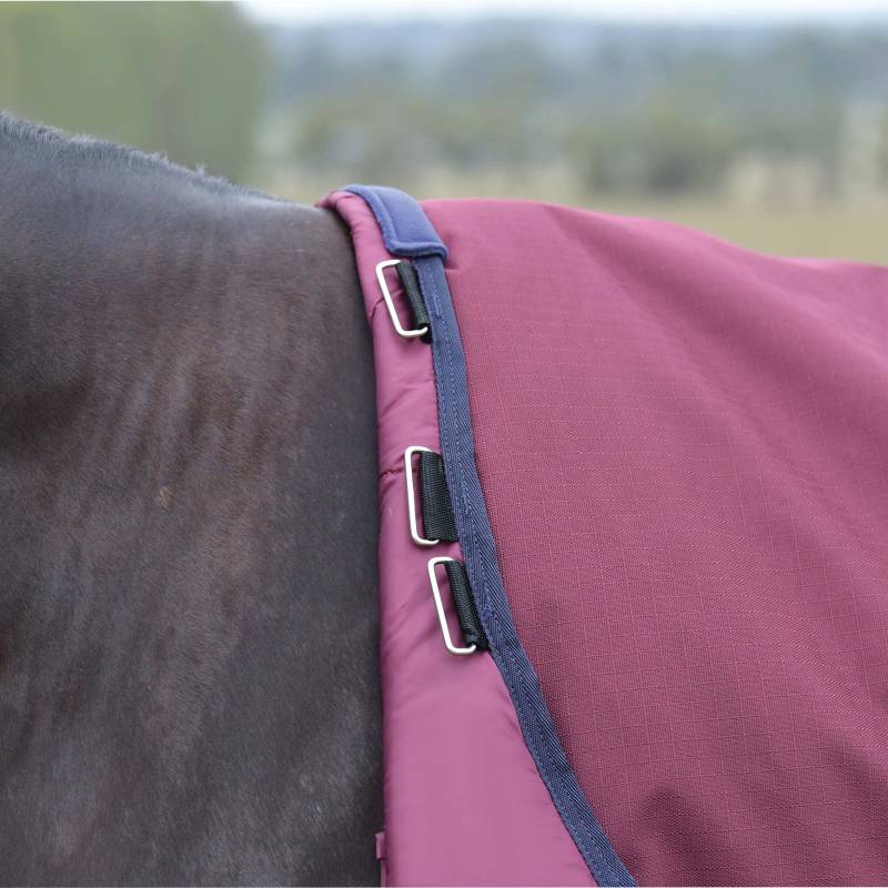 Close-up of a horse in a Weatherbeeta Comfitec Essential Turnout Rug, Burgundy/Navy.
