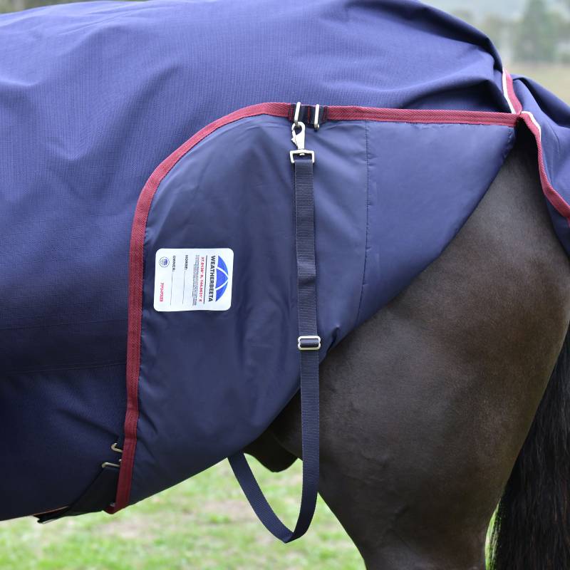 Close-up of a horse in a Weatherbeeta Comfitec Essential Turnout Rug, Navy/Burgundy.