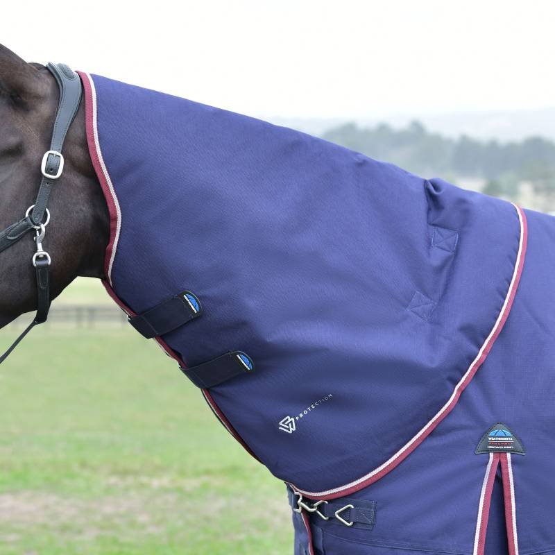 A horse wears a Weatherbeeta navy/burgundy turnout rug while standing on grass.