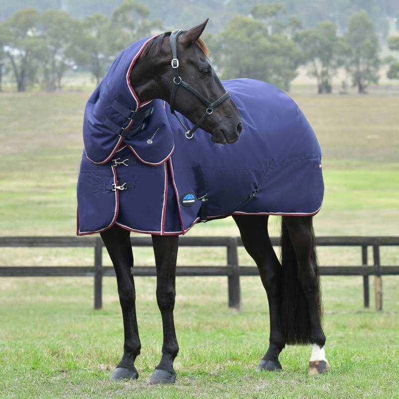 A black horse in a Weatherbeeta Comfitec Essential 220g rug with neck cover stands near a fence.