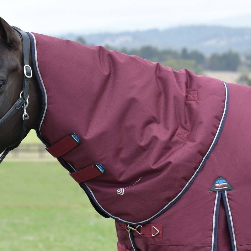 Weatherbeeta horse in a burgundy/navy Comfitec Essential turnout rug stands in a grassy field.