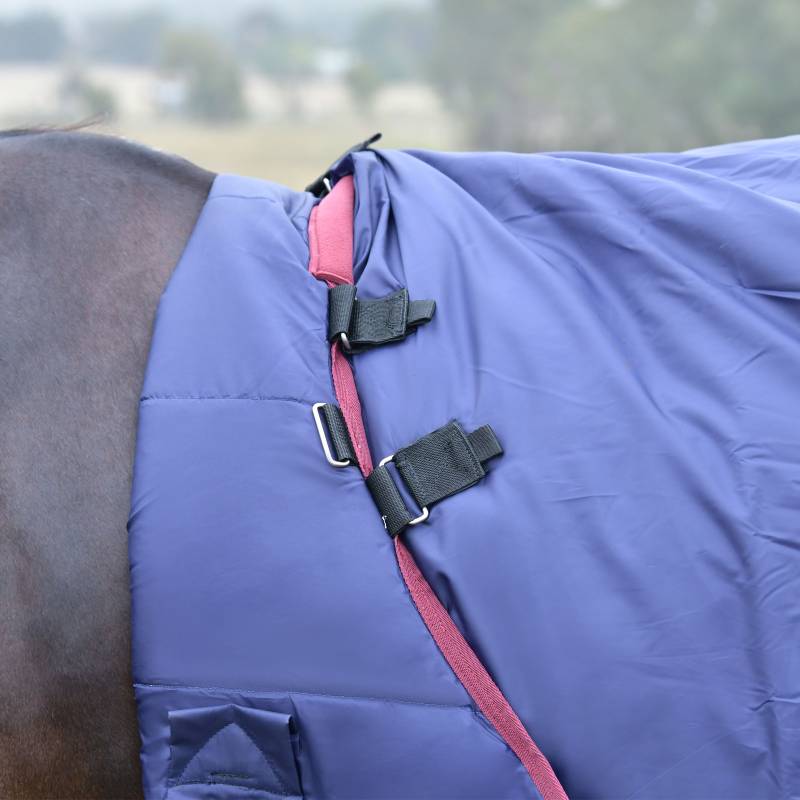 Close-up of a horse in the Weatherbeeta Comfitec Essential Turnout Rug, navy/burgundy.