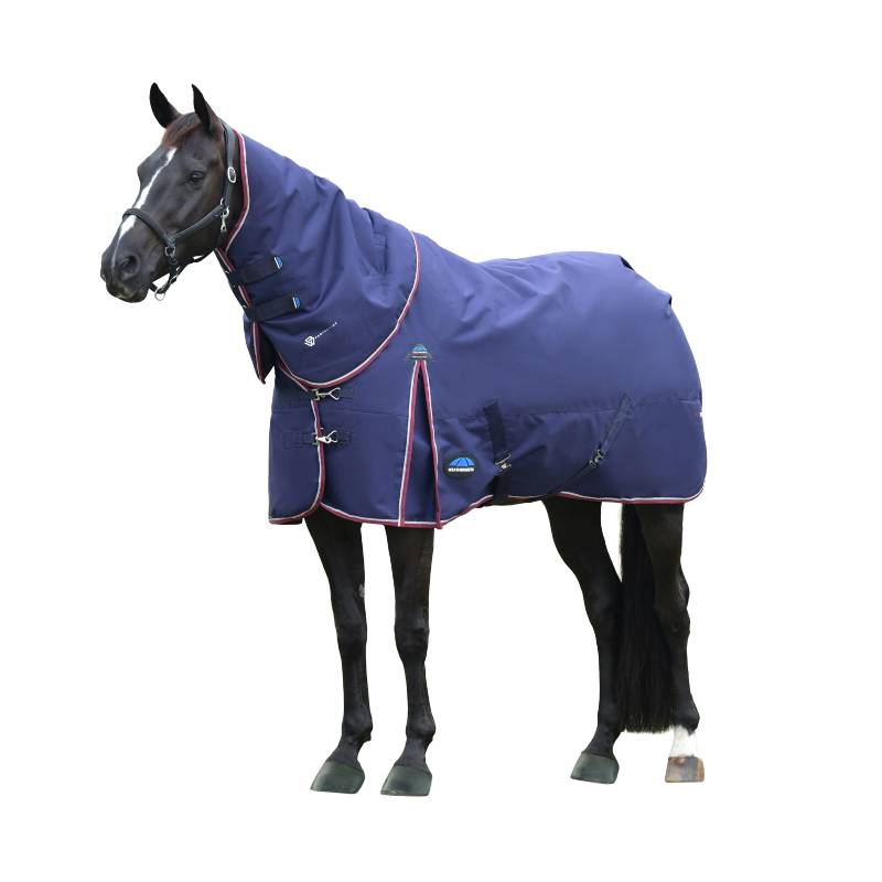 A black horse wears a Weatherbeeta Comfitec Essential turnout rug with neck in navy/burgundy.