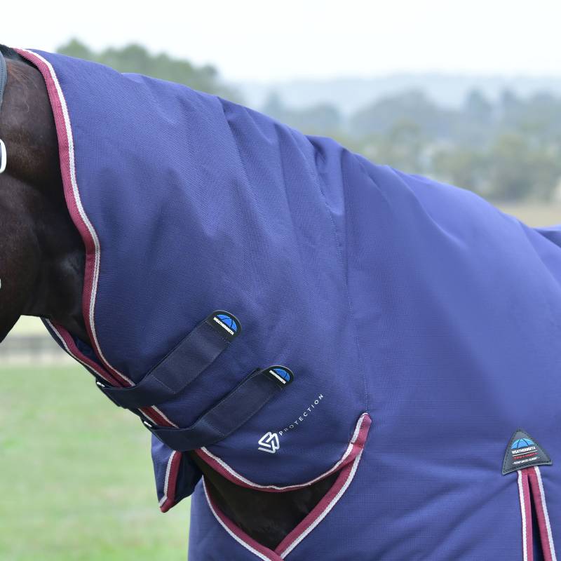 Close-up of a horse in a Weatherbeeta Comfitec Essential Combo Neck 360g turnout rug outdoors.