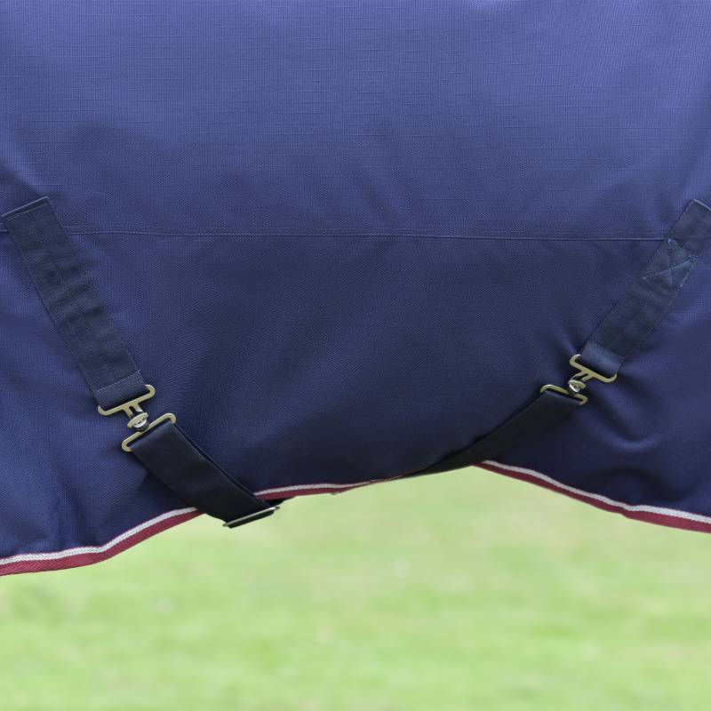Close-up of Weatherbeeta Comfitec Essential Combo Neck 360g rug with straps on grass.