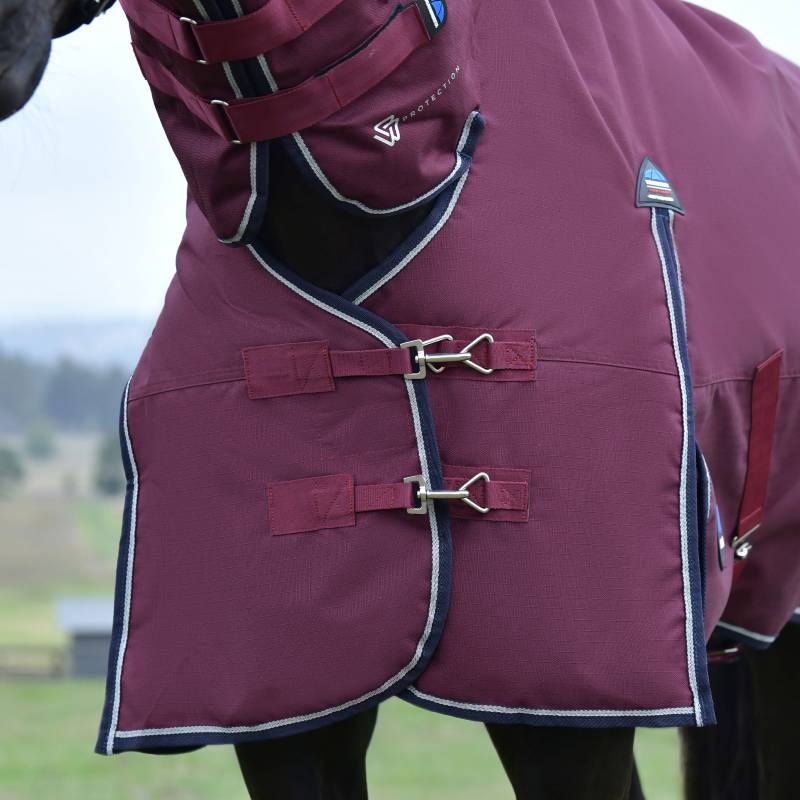 Close-up of a horse in a Weatherbeeta burgundy/navy turnout rug with silver buckles.