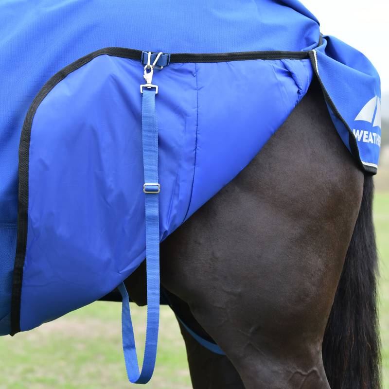 Close-up of a horse in a Weatherbeeta Comfitec Essential Combo Neck 220g Cobalt/Black rug.