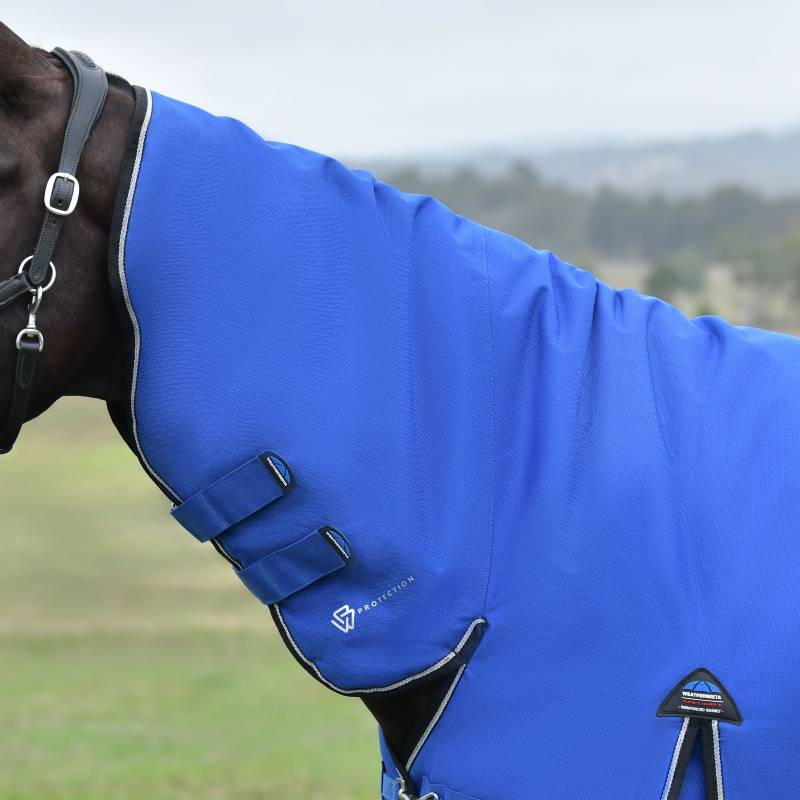 A horse in a Weatherbeeta Comfitec Essential Combo Neck 220g rug stands outdoors.