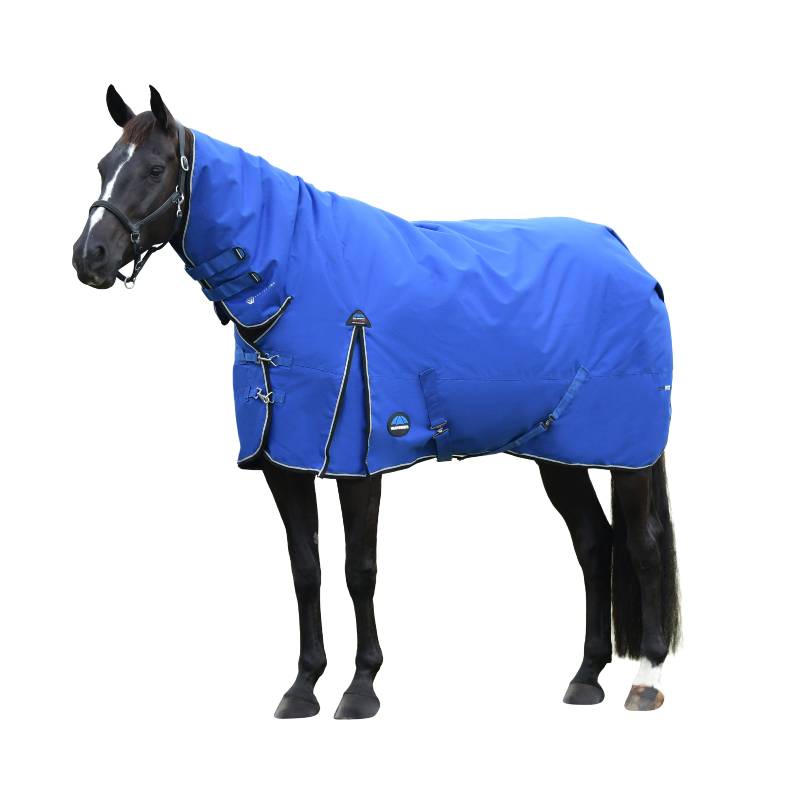A black horse wears a Weatherbeeta Comfitec Essential 220g cobalt/black turnout rug.