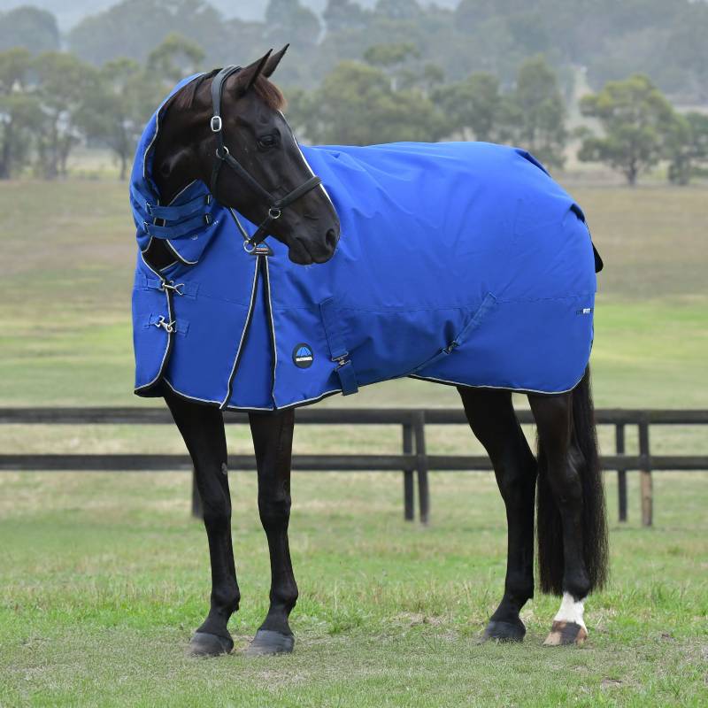 A horse in a Weatherbeeta Comfitec Essential Combo Neck rug (Cobalt/Black) stands by a fence.