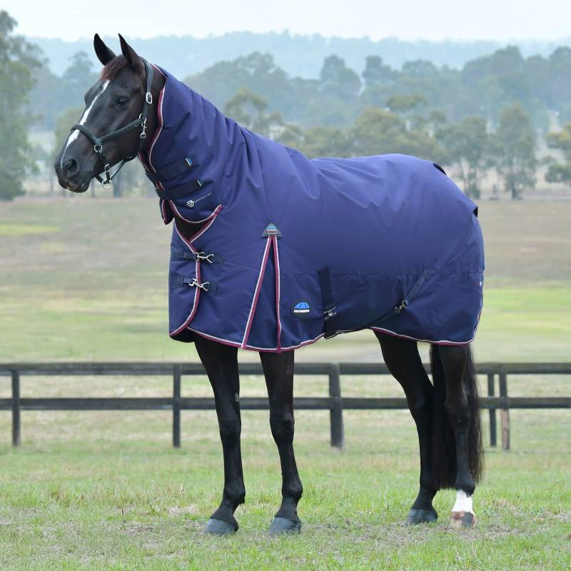 A black horse wears a Weatherbeeta Comfitec Essential navy/burgundy turnout rug by a fence.