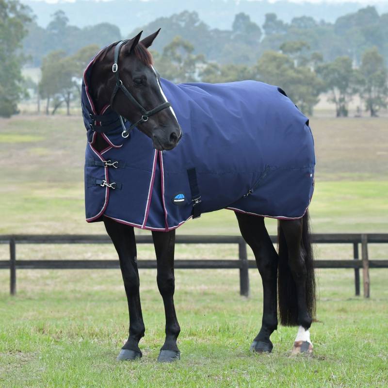 A black horse wears a Weatherbeeta Comfitec Essential navy/burgundy turnout rug by a fence.
