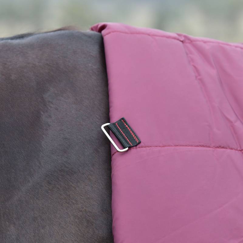 Close-up of a Weatherbeeta Comfitec Essential Combo Neck Turnout Rug 50g on a dark horse.
