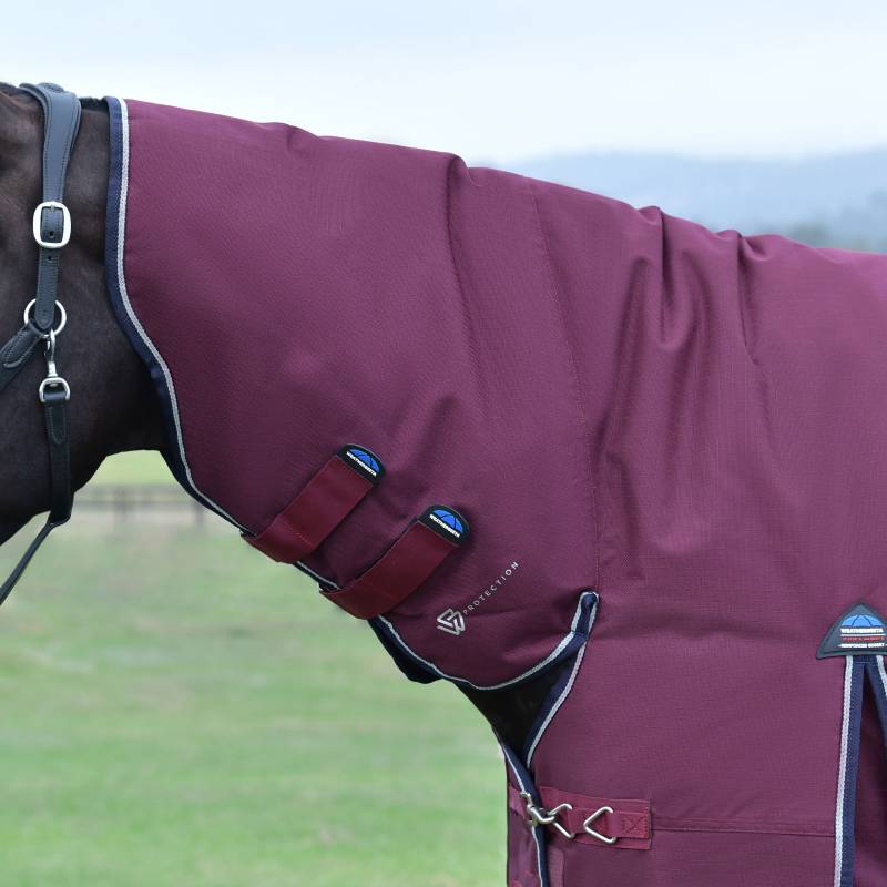 A horse in a Weatherbeeta Comfitec Essential 50g Burgundy/Navy rug stands on grass.
