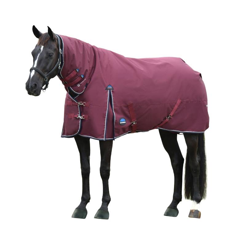 A horse in a Weatherbeeta Comfitec Essential Combo Neck Turnout Rug 50g Burgundy/Navy.