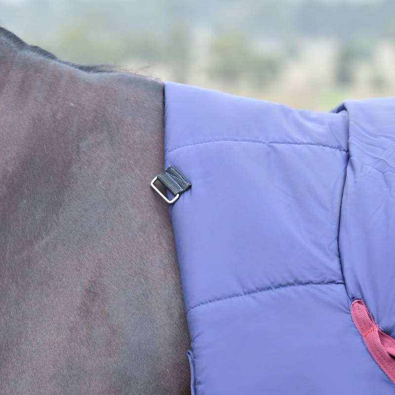 Close-up of a horse in a Weatherbeeta Comfitec Essential Combo Neck Turnout Rug, navy/burgundy.