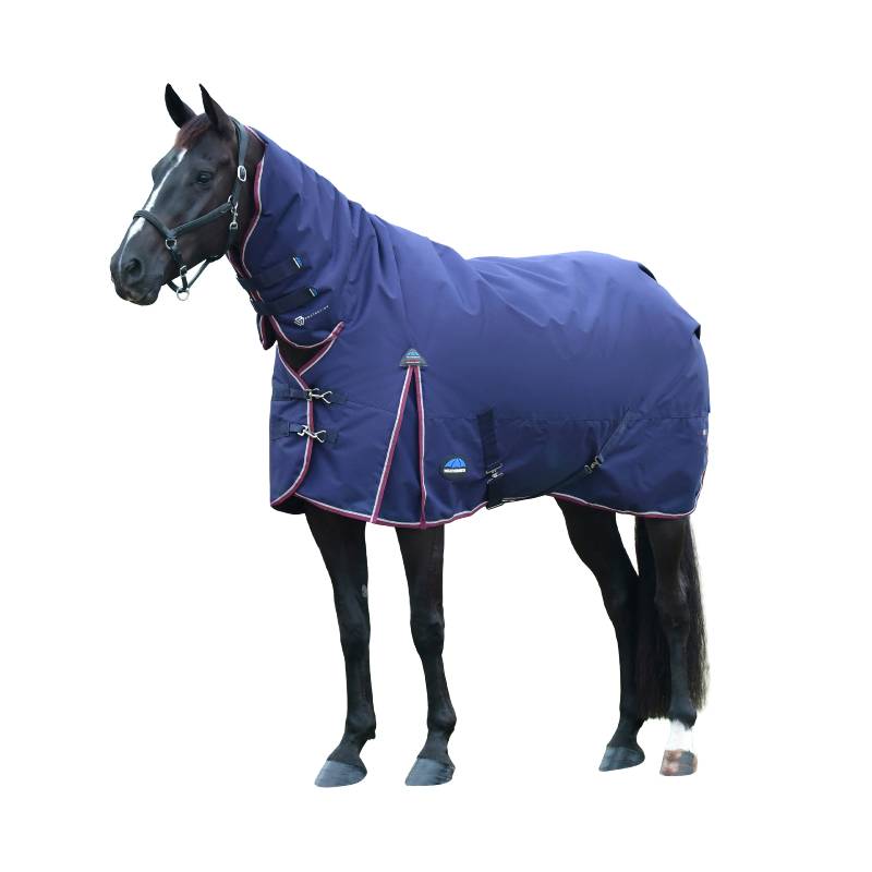 A black horse in a Weatherbeeta Comfitec Essential Combo Neck Turnout Rug stands by a fence.