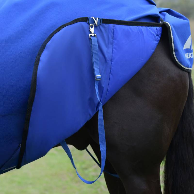 Weatherbeeta cobalt/black turnout rug fastened on a brown horse's back and hindquarters.