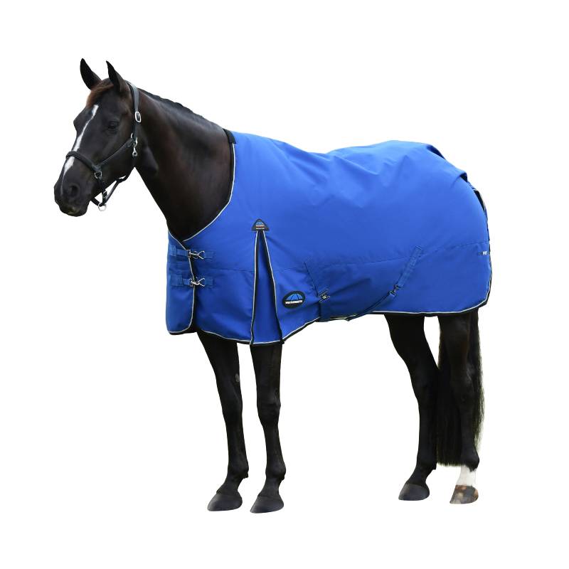 Black horse in a Weatherbeeta Comfitec Essential Standard Neck Turnout Rug, Cobalt/Black, 220g.