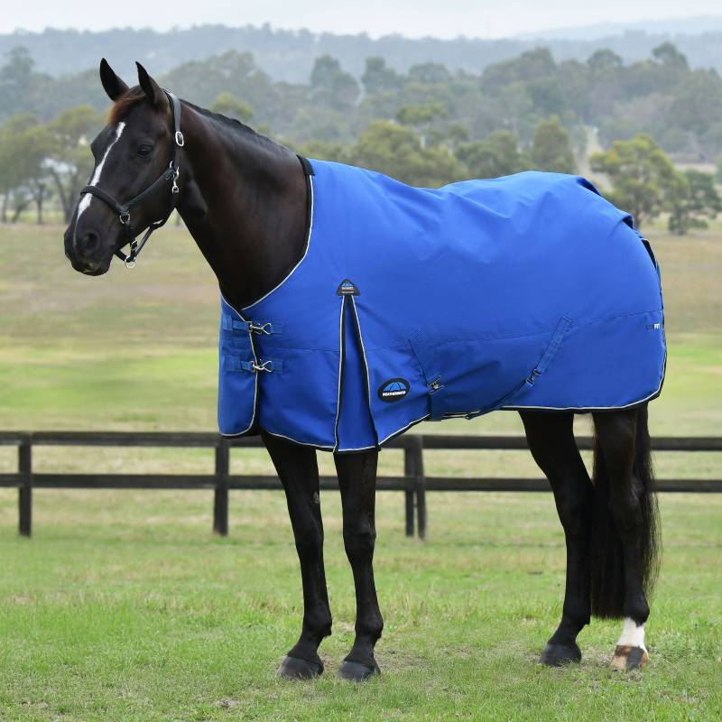 A horse in a Weatherbeeta cobalt/black turnout rug stands on grass by a fence and trees.
