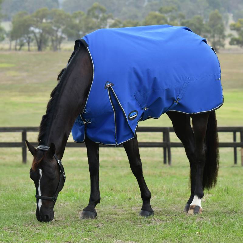 A horse in a Weatherbeeta cobalt/black turnout rug stands on grass by a fence and trees.