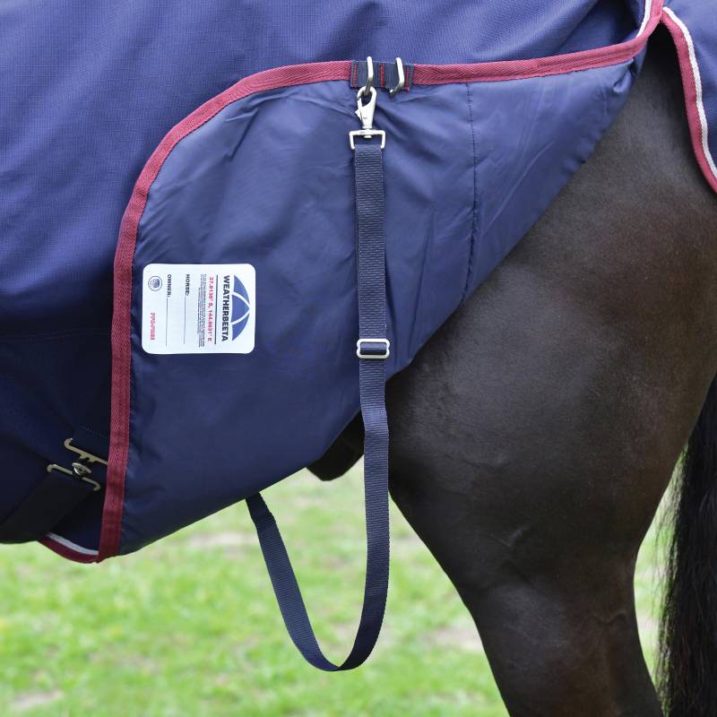 A horse in a navy Weatherbeeta Comfitec Essential Standard Neck 220g turnout rug with straps.