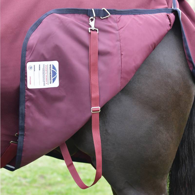 A burgundy Weatherbeeta Comfitec rug fastened on a dark brown horse with strap.