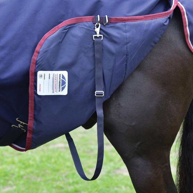 Close-up of a horse in a Weatherbeeta Comfitec Essential turnout rug in navy/burgundy.
