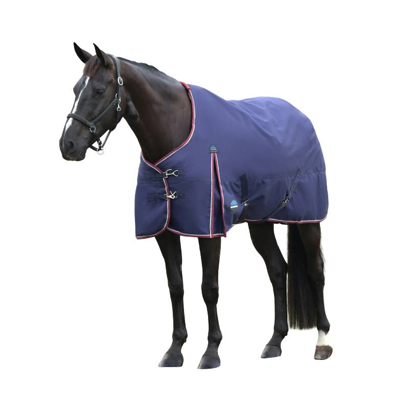 A dark horse in a Weatherbeeta Comfitec Essential 50g rug stands on grass by a fence and trees.