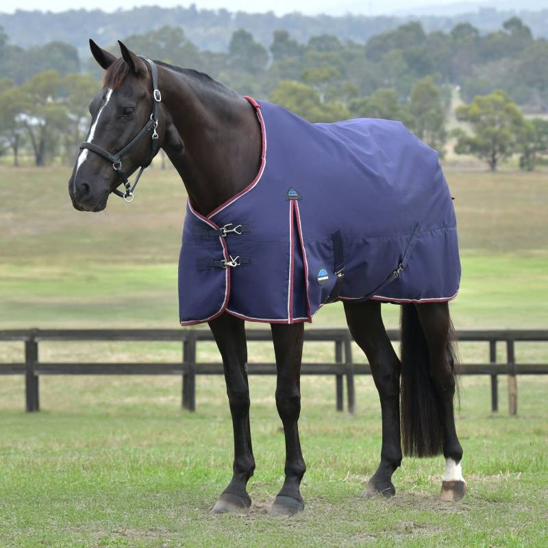 Weatherbeeta Comfitec Essential Standard Neck Turnout Rug Light Plus Weight 50g Navy/Burgundy