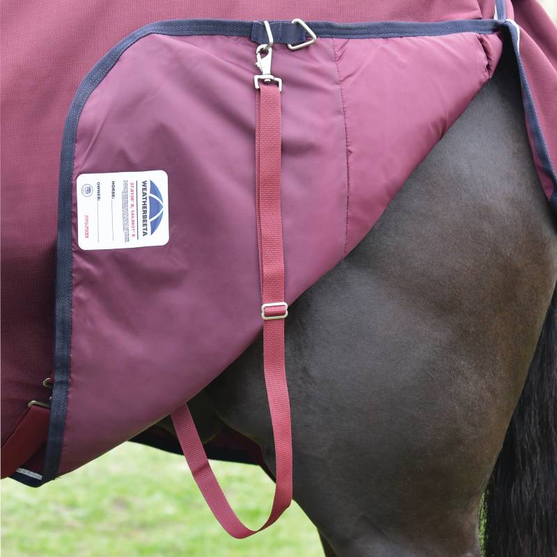 A black horse wears a Weatherbeeta burgundy/navy turnout rug with strap and label.